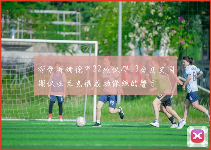 海登海姆德甲22轮仅得13分历史同期仅法兰克福成功保级的警示