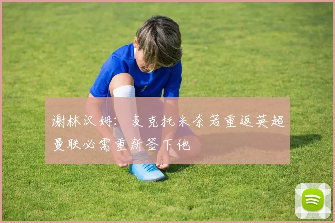 谢林汉姆：麦克托米奈若重返英超曼联必需重新签下他